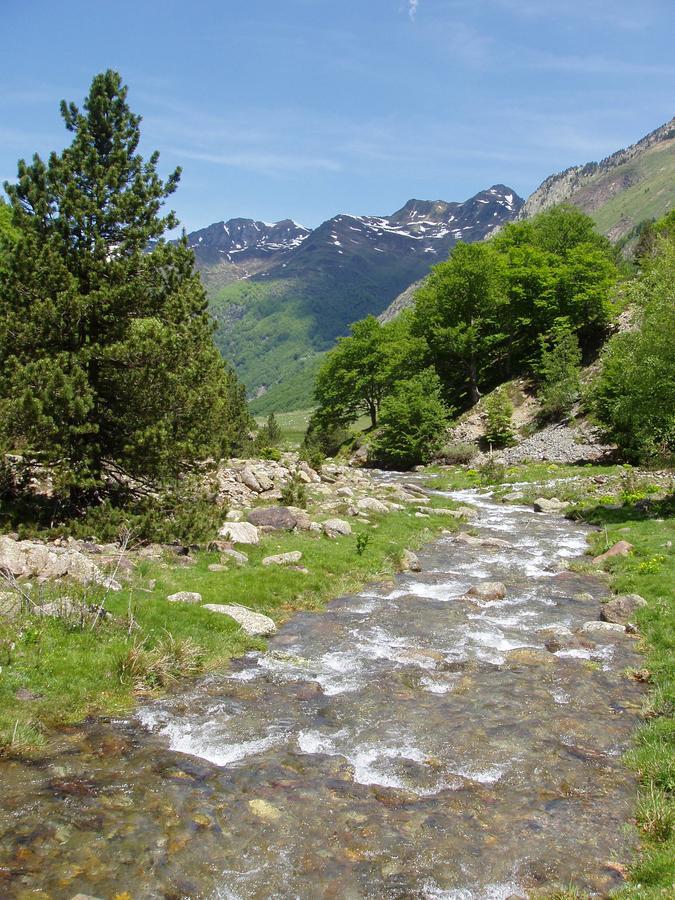 Gite D'Etape Ascou La Forge Екстер'єр фото